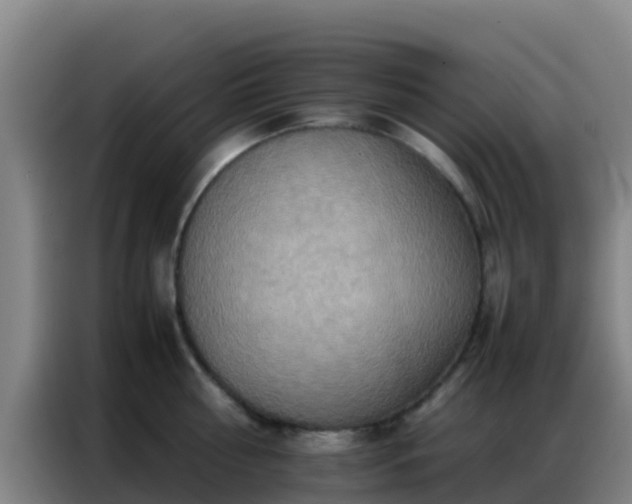 X0000086790810200704201842