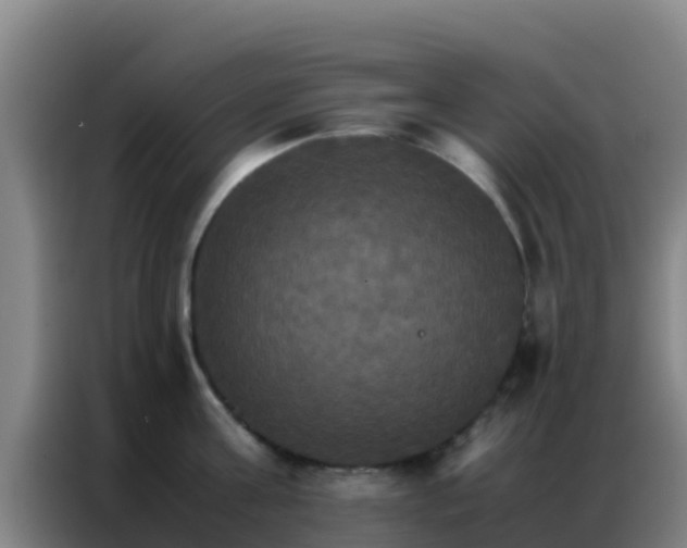 X0000086790811200704201842