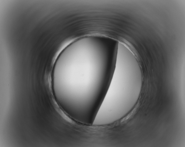 X0000086790812200704201842