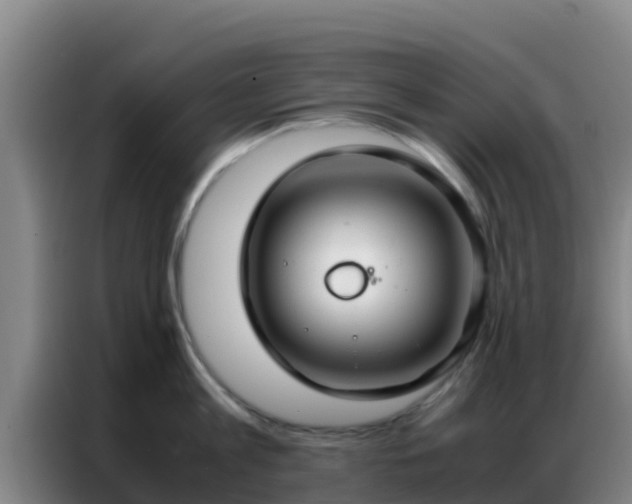 X0000086790813200704201842