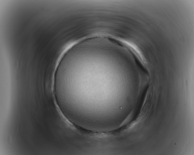 X0000086790815200704201842