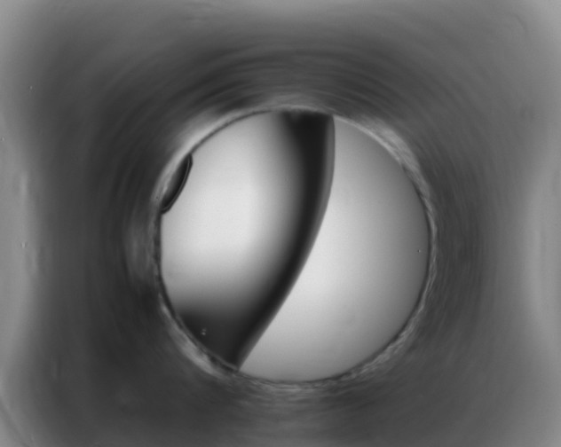 X0000086790816200704201842