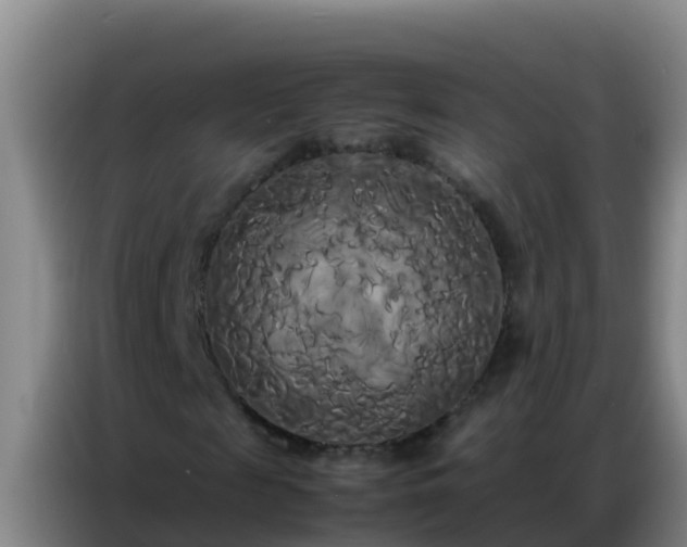 X0000086790817200704201842