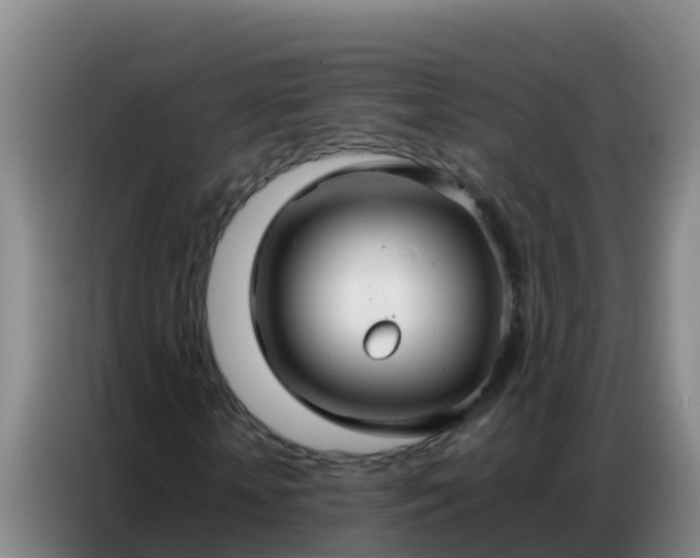 X0000086790818200704201842