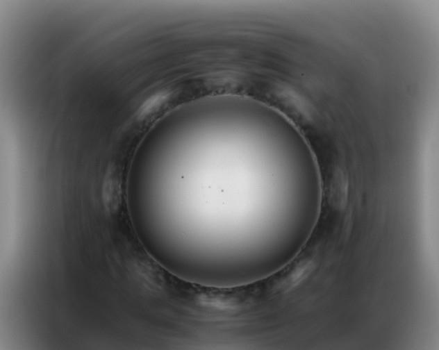 X0000086790821200704201842