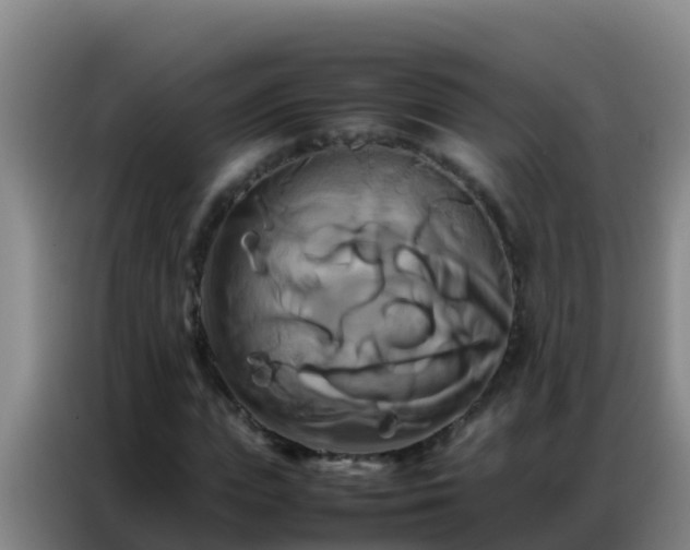 X0000086790823200704201842
