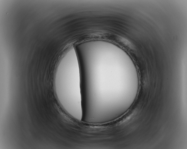 X0000086790825200704201842