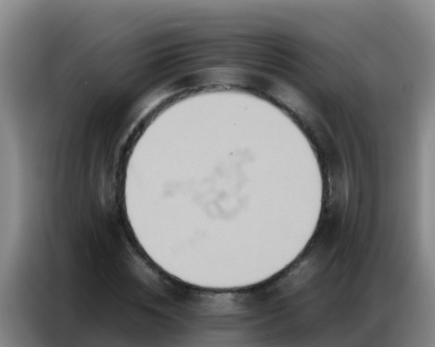 X0000086790828200704201842