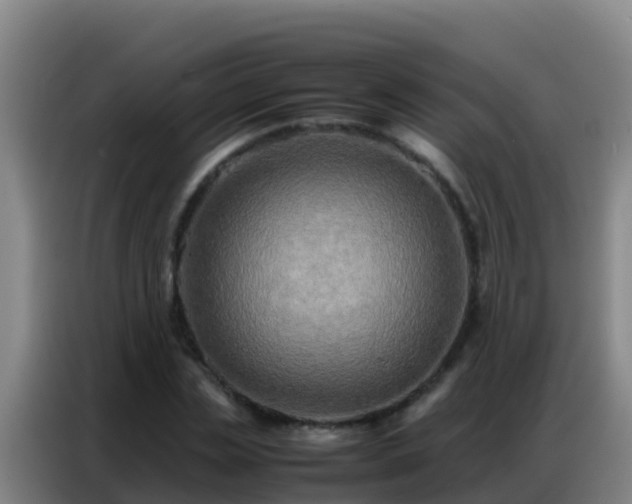 X0000086790829200704201842