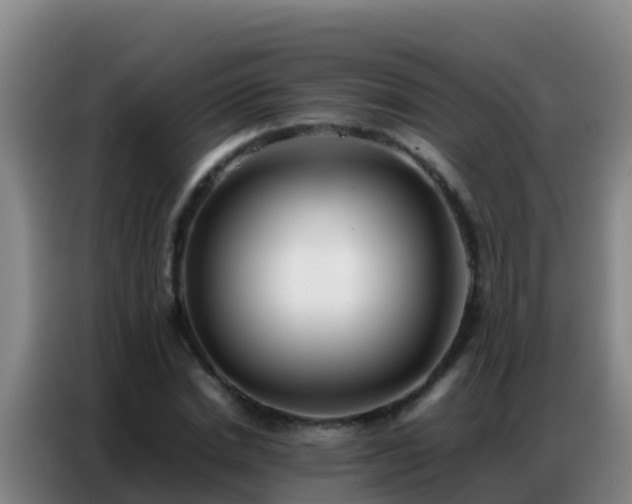 X0000086790830200704201842