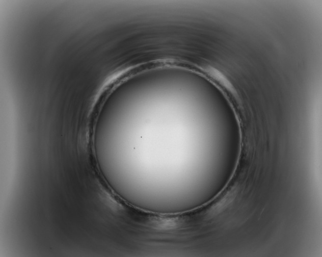 X0000086790831200704201842