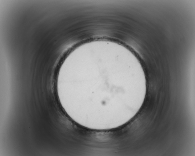 X0000086790832200704201842