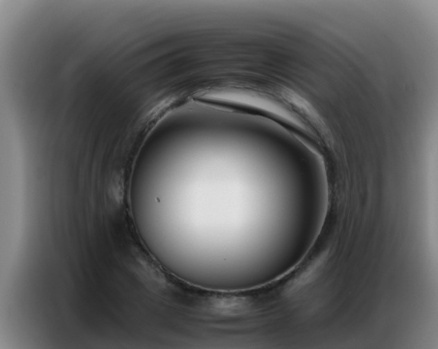 X0000086790833200704201842