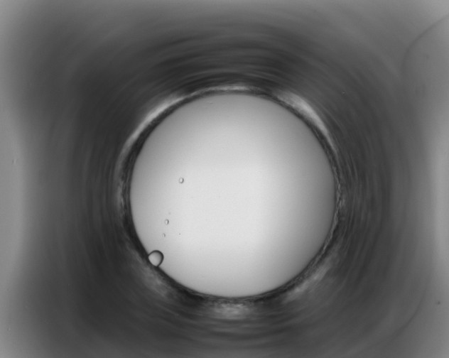 X0000086790835200704201842