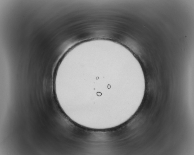 X0000086790836200704201842