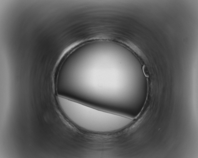 X0000086790838200704201842