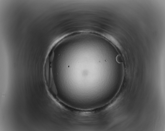 X0000086790839200704201842