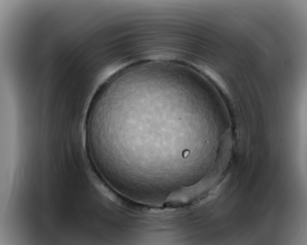 X0000086790840200704201842