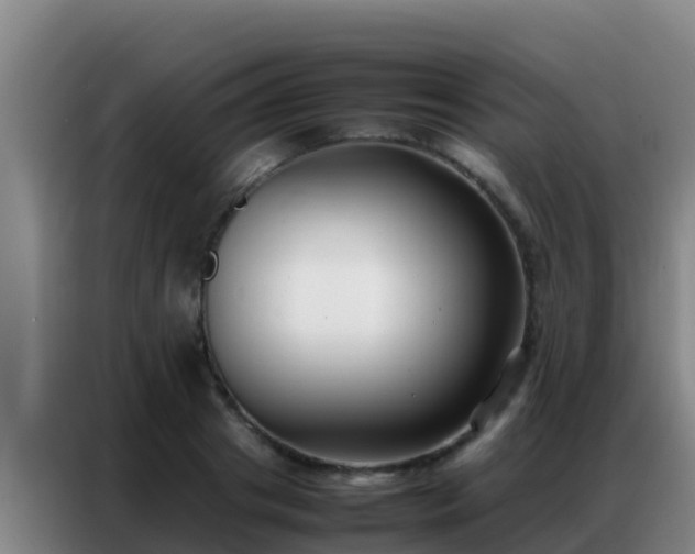 X0000086790841200704201842