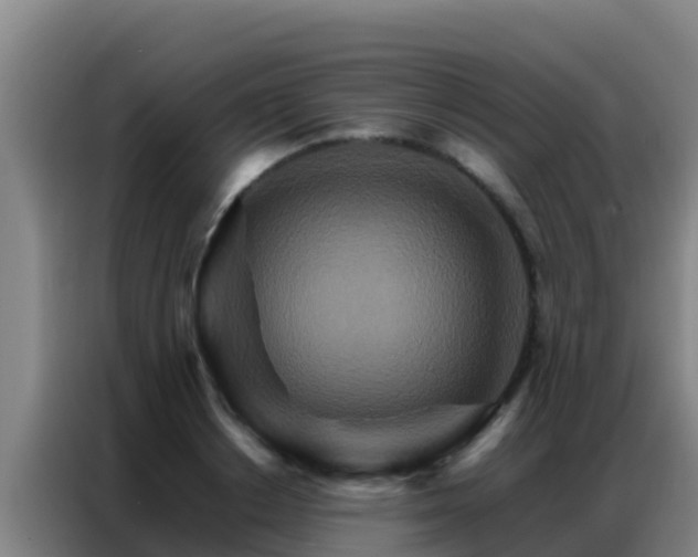 X0000086790842200704201842