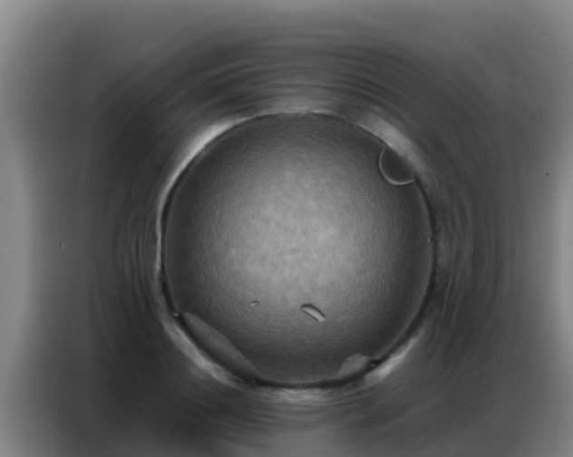 X0000086790844200704201842