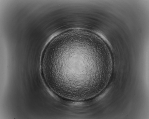 X0000086790845200704201842