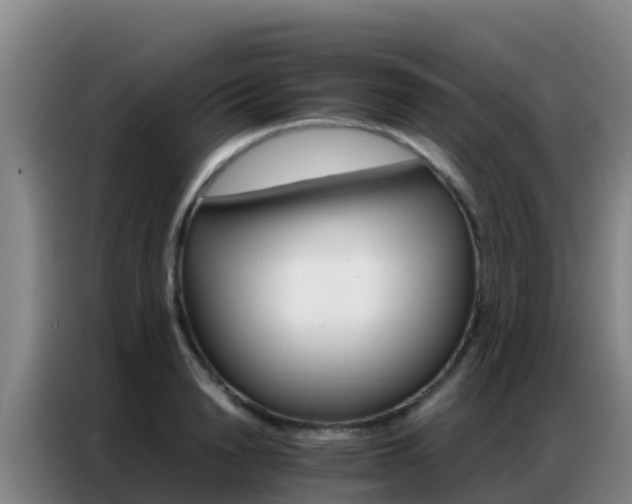 X0000086790846200704201842