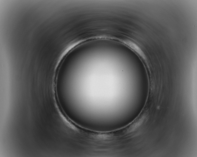 X0000086790847200704201842