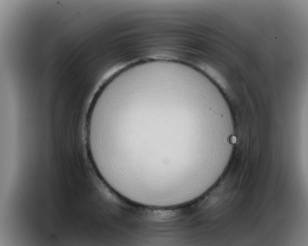 X0000086790848200704201842
