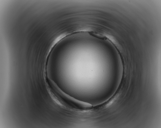 X0000086790850200704201842
