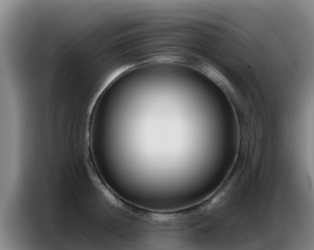 X0000086790852200704201842
