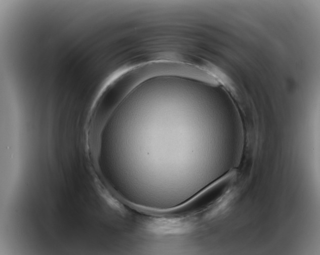 X0000086790854200704201842