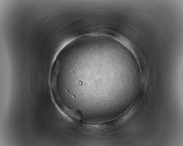 X0000086790855200704201842