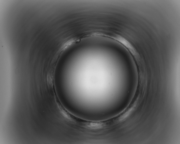 X0000086790857200704201842