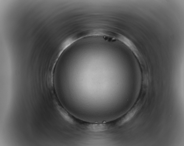 X0000086790858200704201842