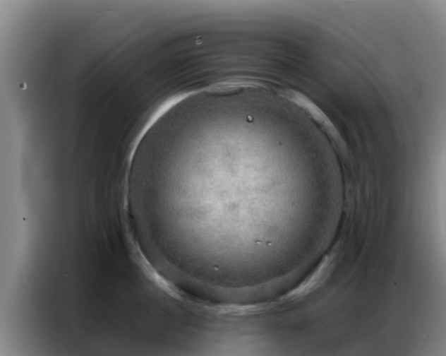 X0000086790860200704201842