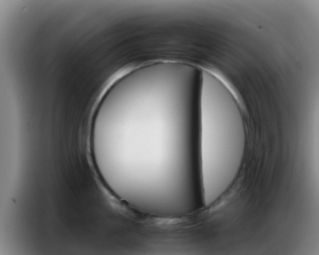 X0000086790861200704201842