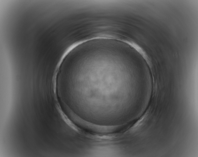 X0000086790862200704201842