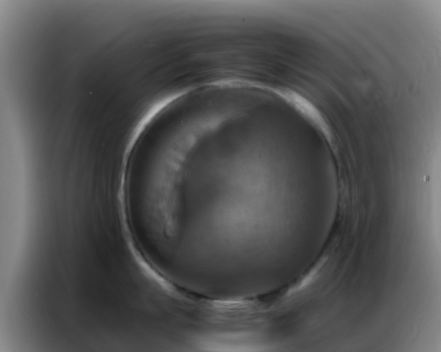 X0000086790863200704201842