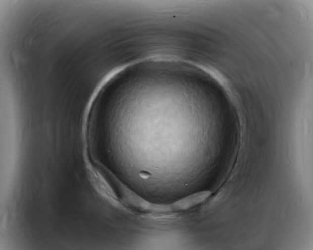 X0000086790864200704201842