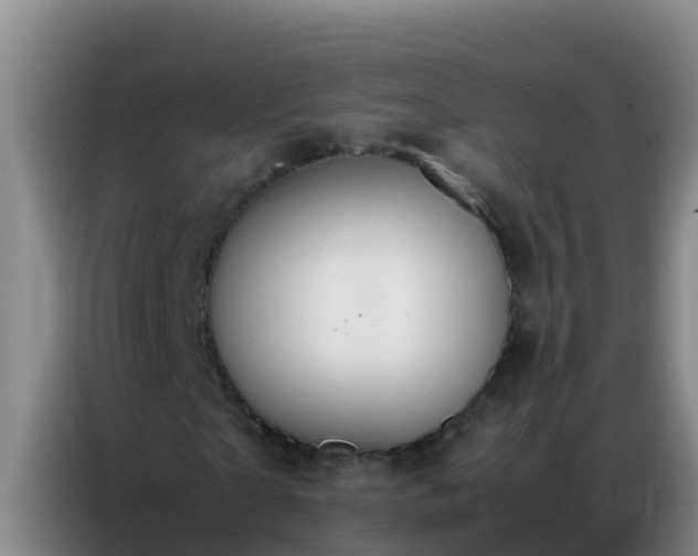 X0000086790865200704201842