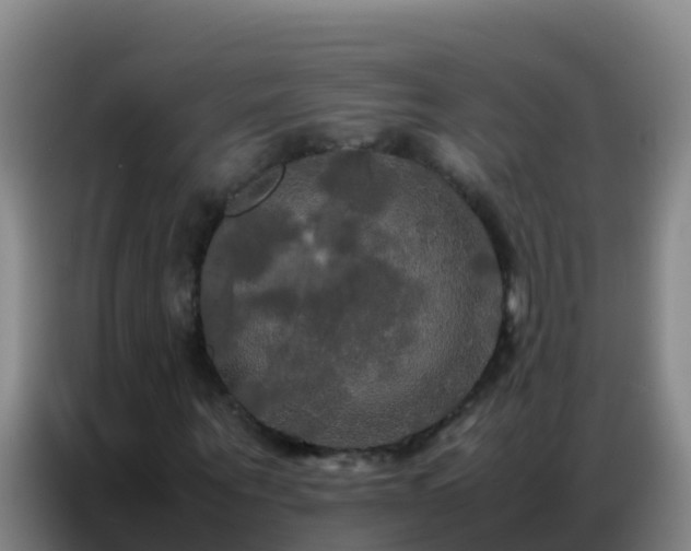 X0000086790867200704201842