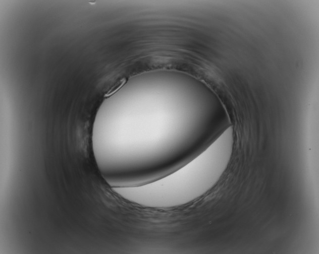 X0000086790868200704201842