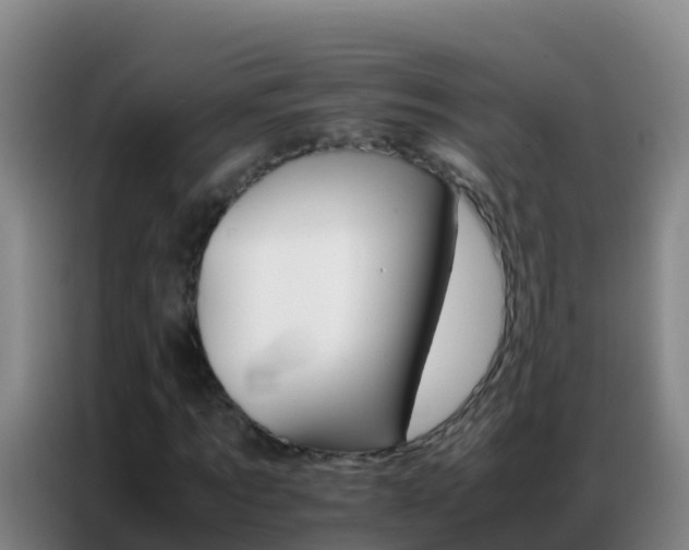 X0000086790869200704201842