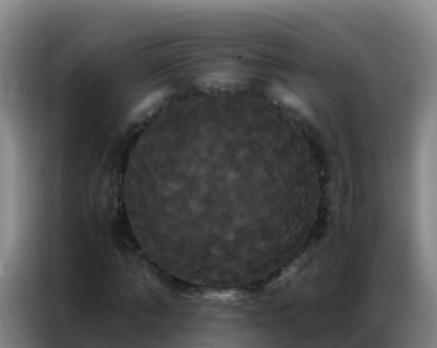X0000086790870200704201842