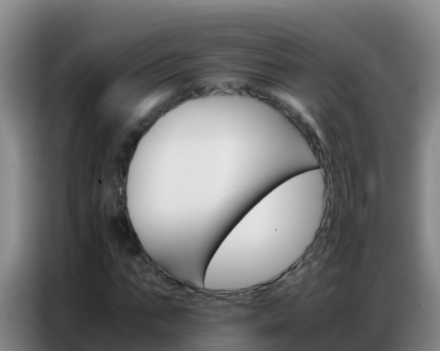 X0000086790871200704201842