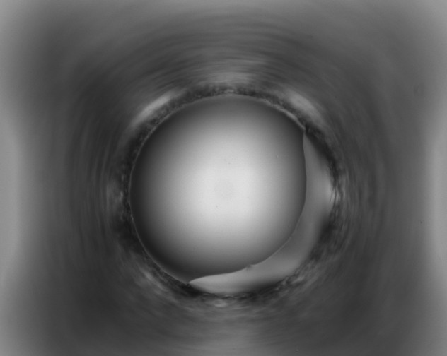 X0000086790872200704201841