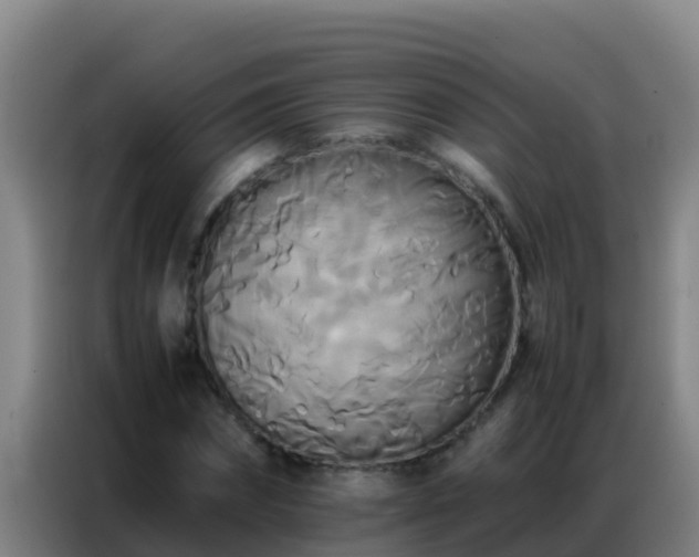 X0000086790874200704201841