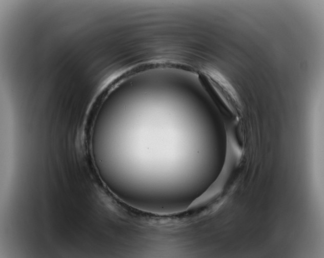 X0000086790876200704201841