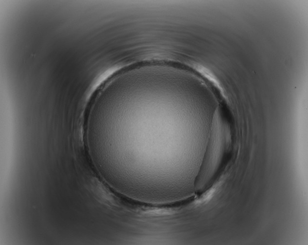 X0000086790877200704201841